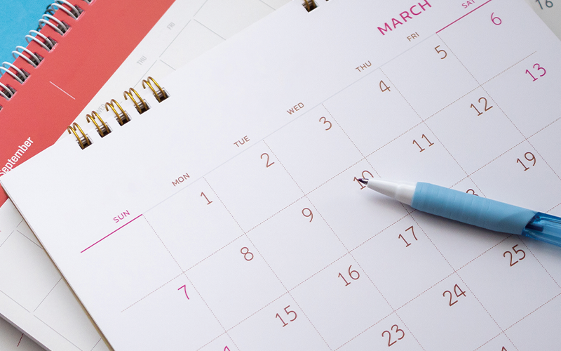 태아보험 가입 시기 최적화